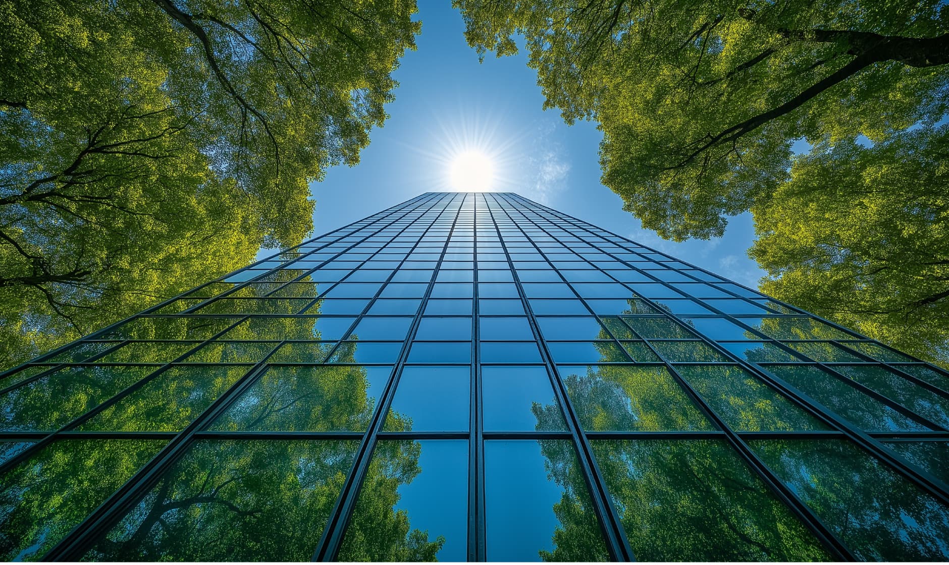 que hacemos background