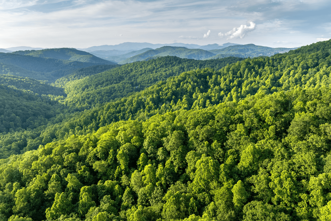 Restauración Forestal para la Resiliencia Climática en el Caribe (REFORES)
