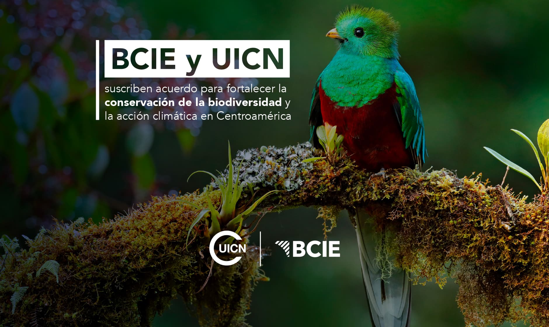 BCIE y UICN suscriben acuerdo para fortalecer la conservación de la biodiversidad y la acción climática en Centroamérica 
