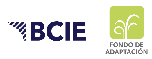 Bcie--fondo-adaptacion