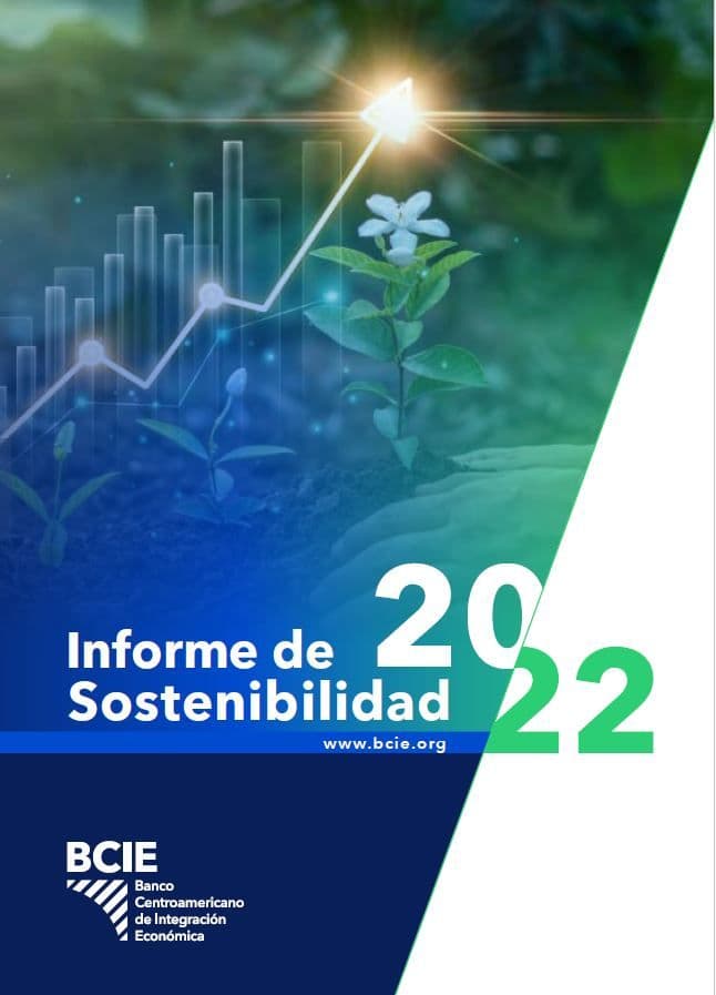Informe de Sostenibilidad 2022