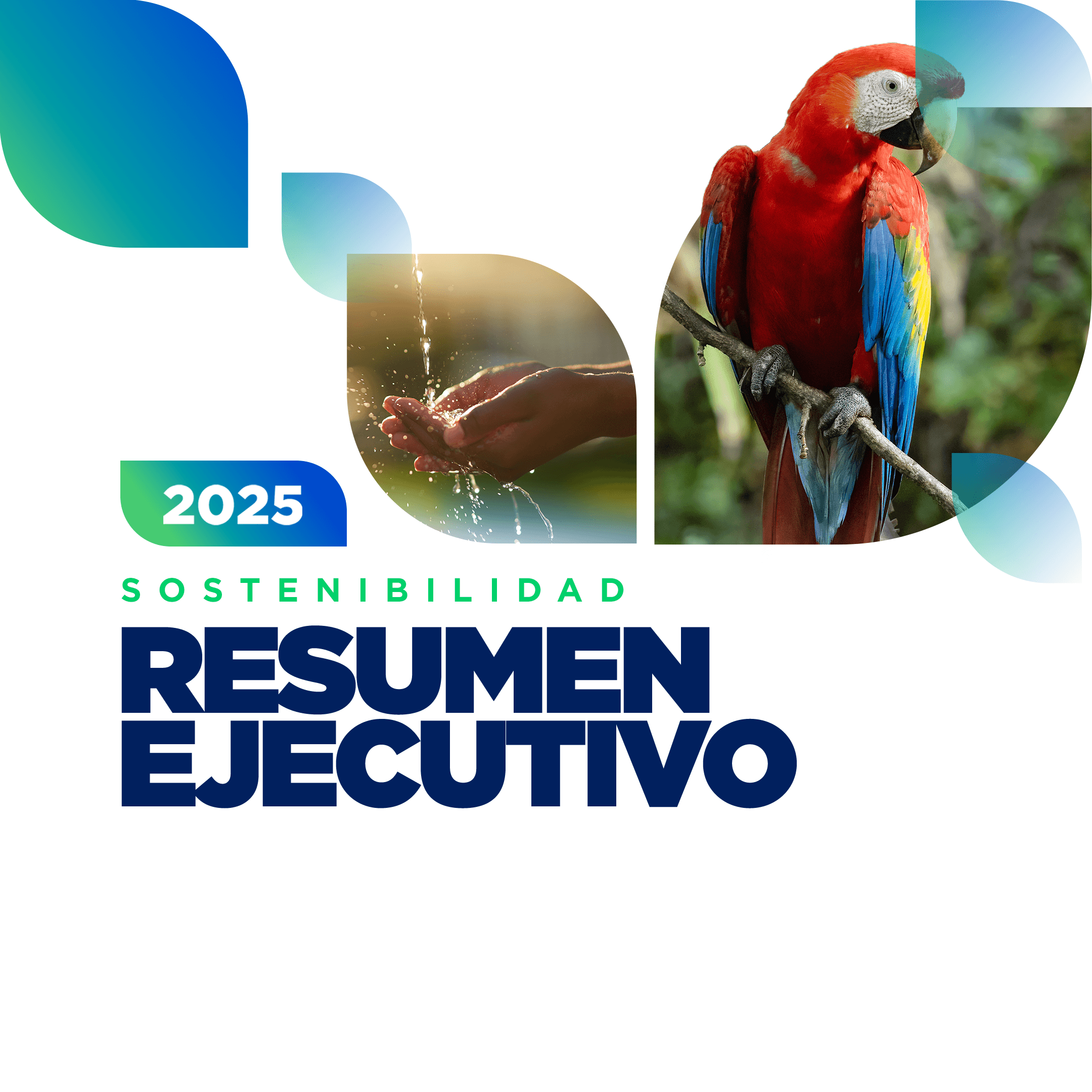 Resumen ejecutivo del informe de Sostenibilidad 2025