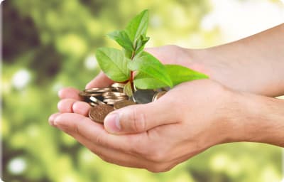 Marco de bonos sostenibles