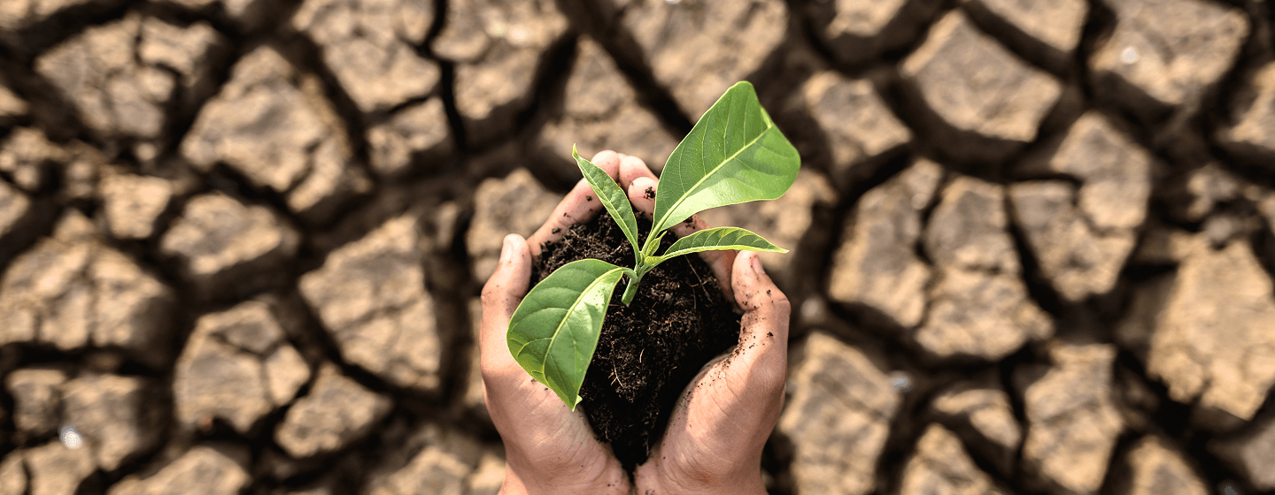 Sub pages hero image