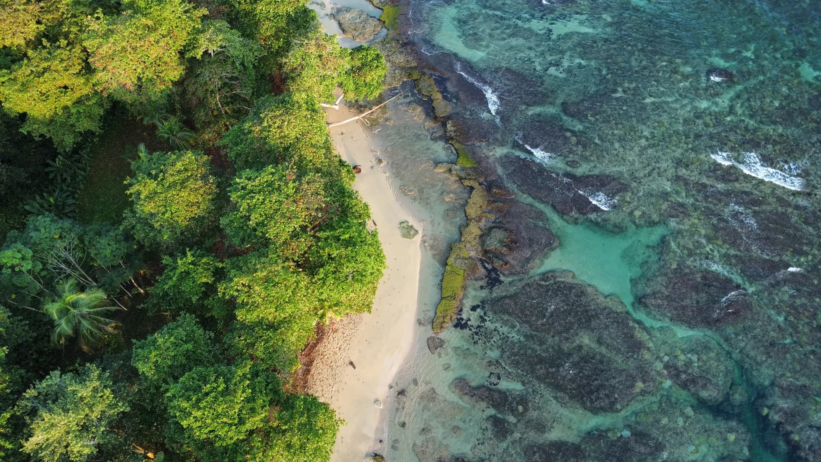 Costa Rica background