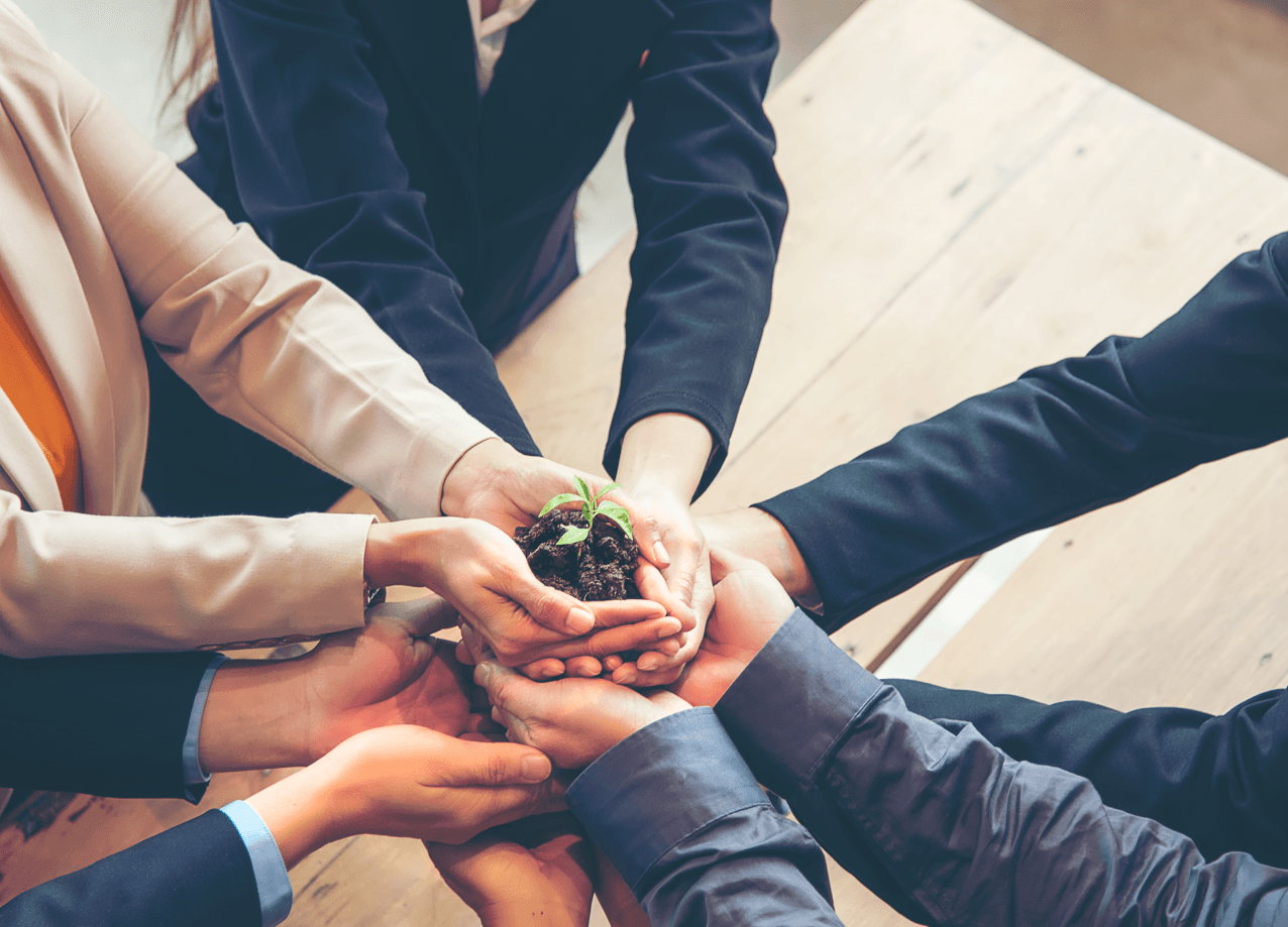 Gestión de Sostenibilidad Interna