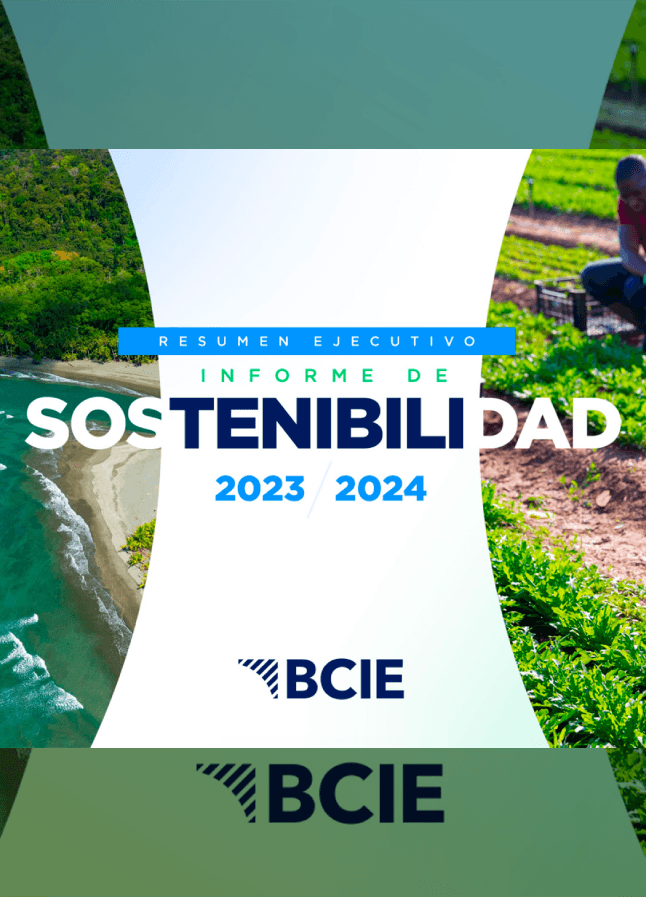 Resumen Ejecutivo Informe de Sostenibilidad 2023-2024