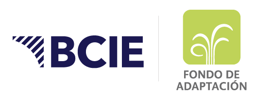 Bcie--fondo-adaptacion