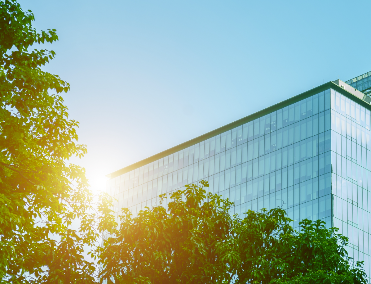 Historical image from 2019