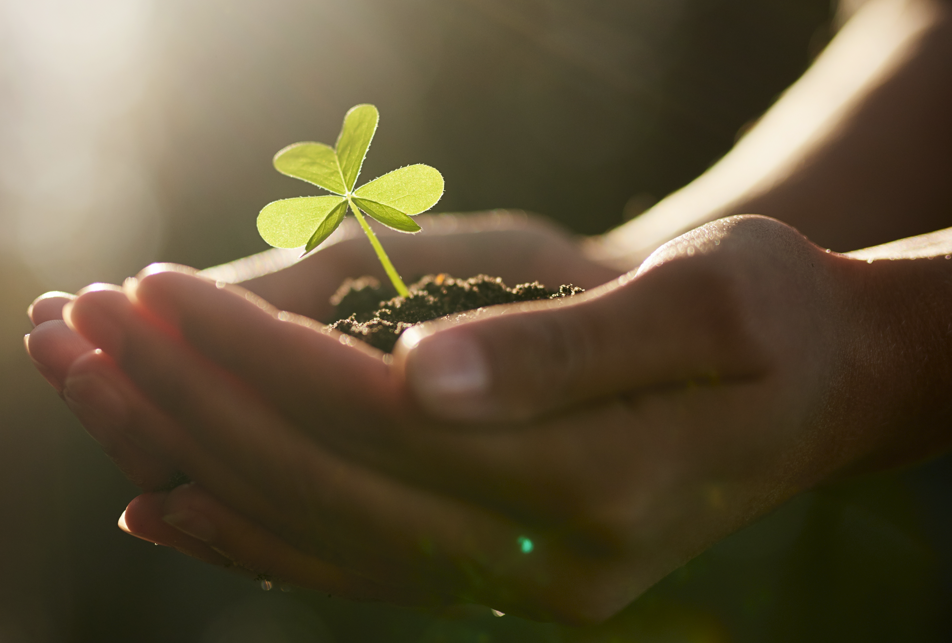 Historical image from 2016