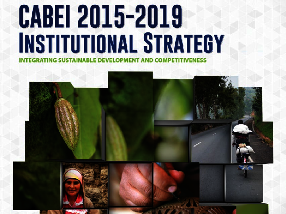 CABEI 2015-2019 Institutional Strategy